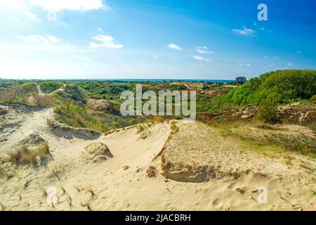 Dune landscape at De Panne, North Sea, in Belgium on summer day Stock Photo