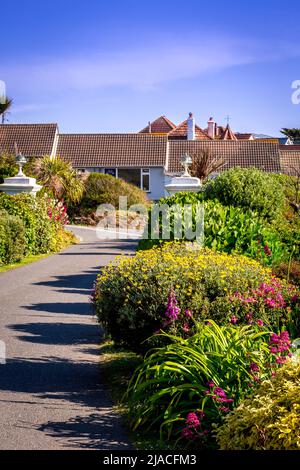 Picturesque driveway to Polurrian On The Lizard Hotel in Mullion, Cornwall. Stock Photo