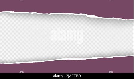 Torn paper with ripped edges realistic vector with space for text. Template design for banner for web and print, sale promo, advertising and presentation. Stock Vector