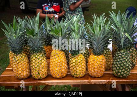 Pineapples on display for sale at country market Stock Photo
