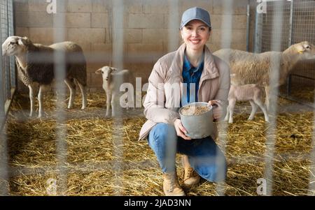 Portrait of female farm worker feeding lambs Stock Photo