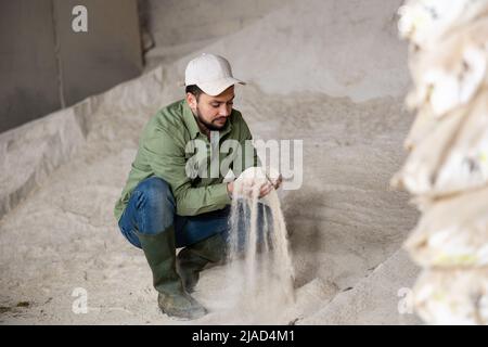 Man farmer checking quality of maize flour Stock Photo