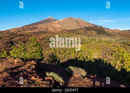 Rural volcanic landscape, Teide National Park, Tenerife, Canary Islands, Spain Stock Photo