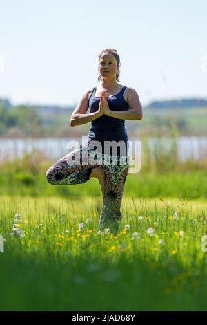 Woman doing tree pose by Wallersee, Salzburg, Austria Stock Photo - Alamy