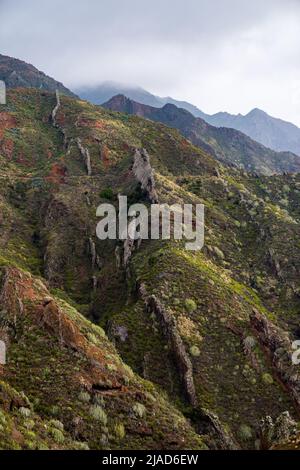 Mountain landscape, Anaga Rural Park, Tenerife, Canary Islands, Spain