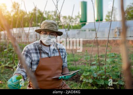 Farmer checking vegetables in a field holding a digital tablet, Thailand Stock Photo