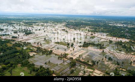 Aerial view of flooded rice fields, Sakon Nakhon, Isan, Thailand Stock Photo