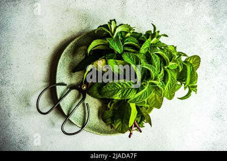 Overhead view of fresh mint leaves on a plate Stock Photo