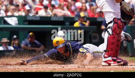 St. Louis Cardinals catcher Andrew Knizner is seen during spring training  baseball practice Monday, Feb. 22, 2021, in Jupiter, Fla. (AP Photo/Jeff  Roberson Stock Photo - Alamy