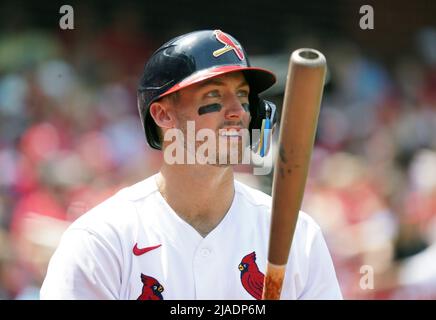 St. Louis, United States. 29th May, 2022. St. Louis Cardinals Andrew Knizner watches a foul ball as he stands on deck during a game against the Milwaukee Brewers in the fifth inning at Busch Stadium in St. Louis on Sunday, May 29, 2022. Photo by Bill Greenblatt/UPI Credit: UPI/Alamy Live News Stock Photo