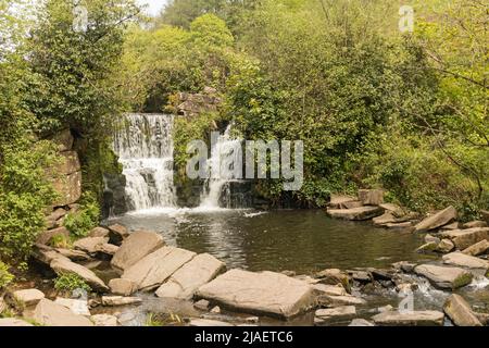 Waterfall on River Llan, Penllergare Valley Woods, Penllergaer, Swansea, South Wales, UK Stock Photo