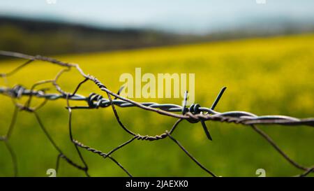 barbed wire against a sky and green field Stock Photo
