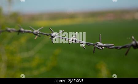 barbed wire against a sky and green field Stock Photo