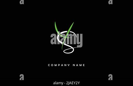 YS, SY Alphabets Letters Logo Monogram Stock Vector