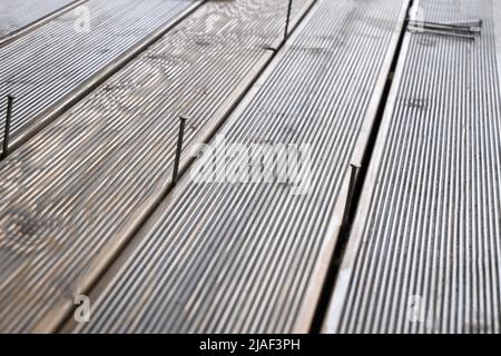 Wooden painted special protective oil larch floor and hobnails. Close up. Stock Photo
