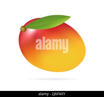 Whole mango with leaf, half realistic style vector illustration isolated on white background Stock Vector