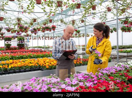Pretty woman agronomist showing plants in pots to mature man who taking notes in nursery garden Stock Photo