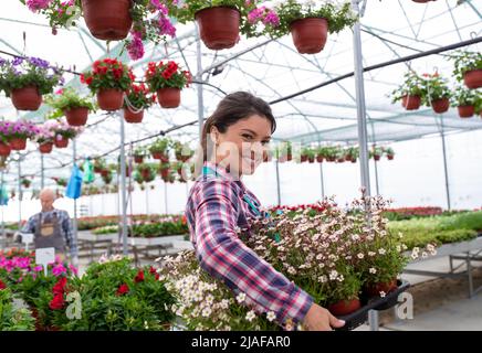 Side view of a smiling female florist holding a tray full with a flowers in a pot while standing in a greenhouse. Stock Photo