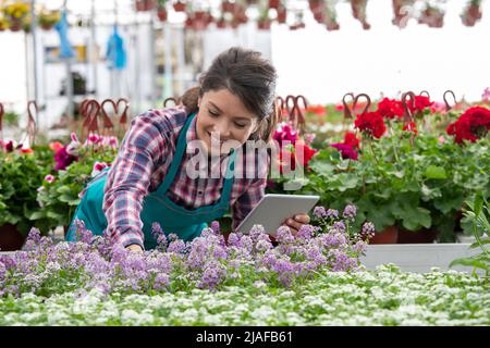 Professional female florist in nursery garden checking soil in flower pot while using tablet to monitor humidity. Stock Photo