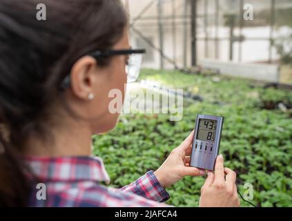 Female gardener using thermometer for measure temperature in the air in greenhouse. Stock Photo