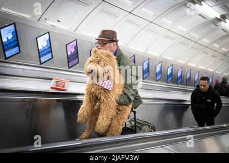 A man carries his dog up an escalator at Liverpool Street Underground Station in London. Photo credit should read: Stefan Rousseau/PA Wire Stock Photo