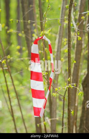 Red and white striped barrier tape on branch closeup, sign area for safety Stock Photo