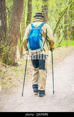 Senior elderly man training Nordic walking with trekking poles, hiking in wood Stock Photo