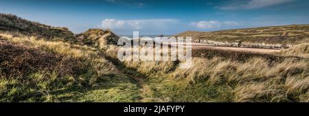 A panoramic view of late afternoon sunlight over the award winning Crantock Beach seen from Rushy Green sand dune system in Newquay in Cornwall. Stock Photo