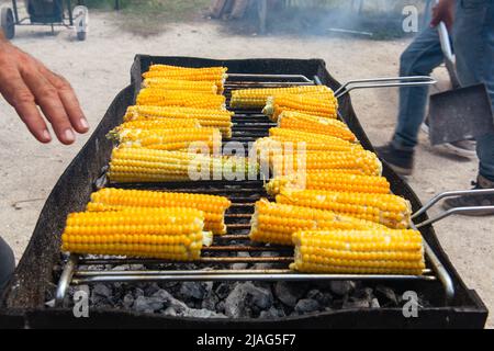 Corn cobs on the grill are cooking. Roasted corn. A man cooks corn cobs outdoors over a grilling grate Stock Photo