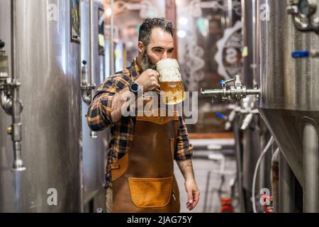 Bearded brewery master tasting beer in production facility. Small family business, production of craft beer. Stock Photo