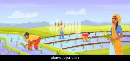 Indian farmers harvesting rice. Farmer working in land field, rural farming india agriculture, watering paddy, asian worker on planted meadow, cartoon exact vector illustration of rural field in india Stock Vector