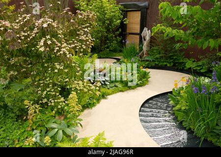 The Boodles Travel Garden containing a curved path and rill surrounded by Cornus controversa, Iris sibirica and yellow Primula Stock Photo