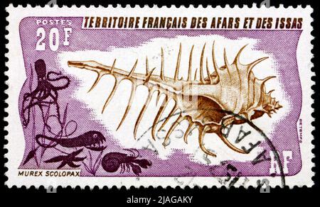 AFARS AND ISSAS - CIRCA 1975: a stamp printed in Afars and Issas shows False Venus Comb, Murex Scolopax, Sea Snail, circa 1975 Stock Photo