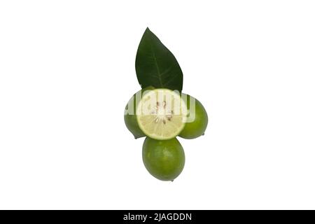 Fresh green lemon slice pieces with leaf isolated on white background. testy lemon fruits. Refreshing summer drink ingredient Stock Photo