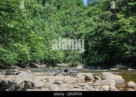 Father and son walking along the river bank of the Little River near Cades Cove Tennessee, USA, in the Great Smoky Mountains National Park. Stock Photo