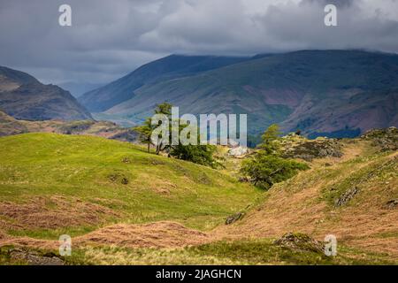 The Langdale Valley from Black Fell, Lake District, England Stock Photo