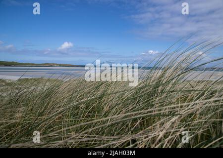 Looking through the tall wiry grass on the sand dunes and machair at Clachan sands at low tide on North Uist, Outer Hebrides, Scotland Stock Photo