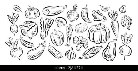 Set farm vegetables vector. Vegan organic food collection hand drawn in linear decorative style Stock Vector