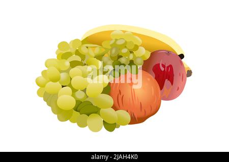 A variety of fruits stacked in a circle on a white background. Stock Vector