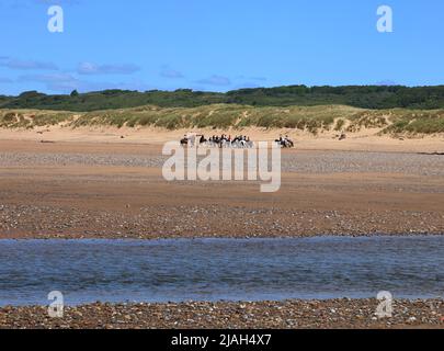 Horse riding on the beach towards Newton village with the well know Merthyr Mawr sand dunes as a backdrop on a beautiful day. Stock Photo