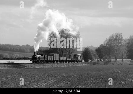 '30053' and a short goods train. Seen here between Northiam and Wittersham Road. Stock Photo
