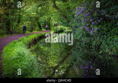 Editorial Swansea, UK - May 24, 2022: The canal at Trebanos in the Swansea Valley, South Wales UK Stock Photo