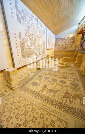 Byzantine mosaics on display in the Museum on Mt Nebo Jordan Stock Photo