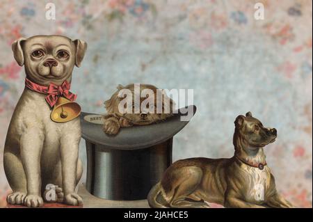 A composition of some Victorian drawings depicting cute dogs Stock Photo