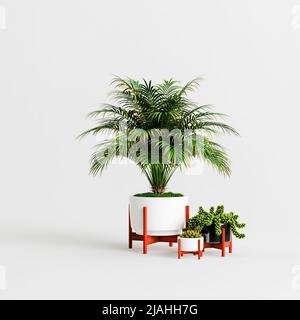3d illustration of houseplants collection isolated on white background Stock Photo