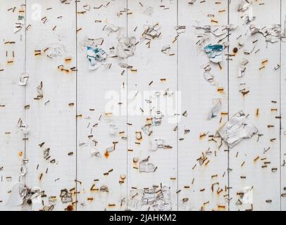 Many rusty stapler pins and pieces of paper on a messy white wooden bulletin, message or notice board. Front view. Abstract textured background. Stock Photo