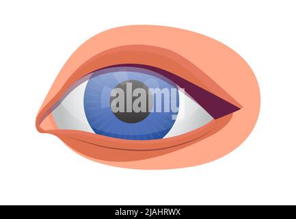 Human eye icon vector for medical app, web, blog. Check your eyesight illustration. Optometrist, ophthalmology problem and disease. Myopia, glaucoma t Stock Vector