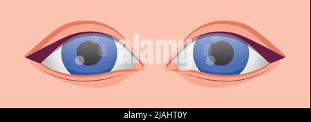 Human eye icon vector for medical app, web, blog. Check your eyesight illustration. Optometrist, ophthalmology problem and disease. Myopia, glaucoma t Stock Vector