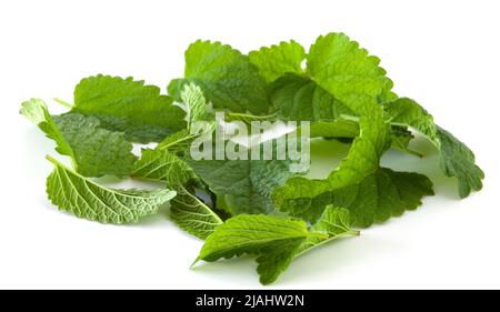 fresh green mint leaves isolated on white background Stock Photo