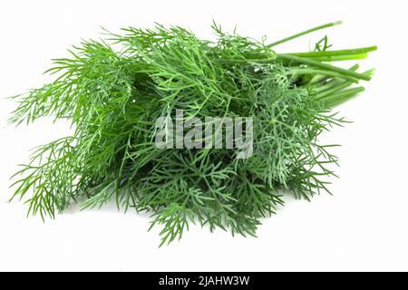 bunch fresh green dill isolated on white background. Stock Photo